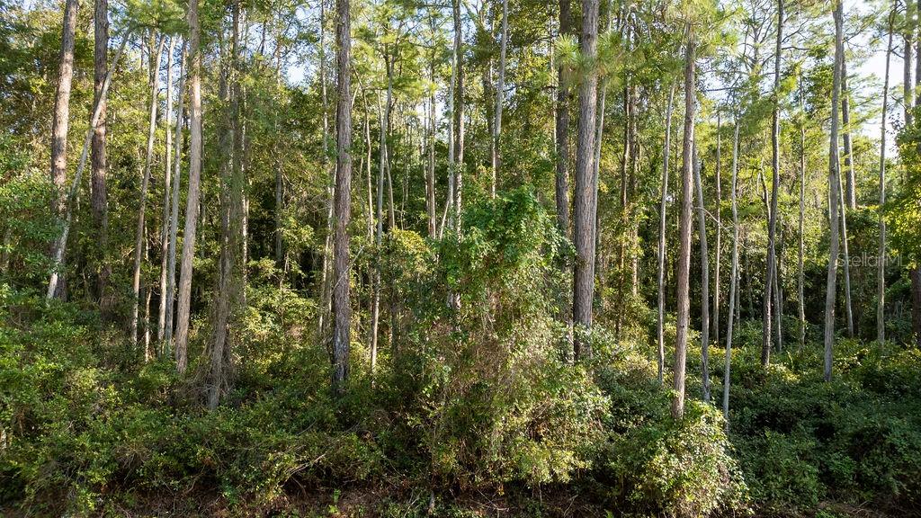 DAYTONA NORTH SUB - Land