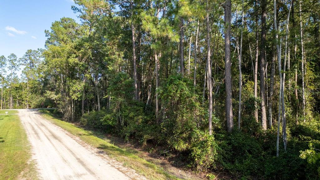 DAYTONA NORTH SUB - Land