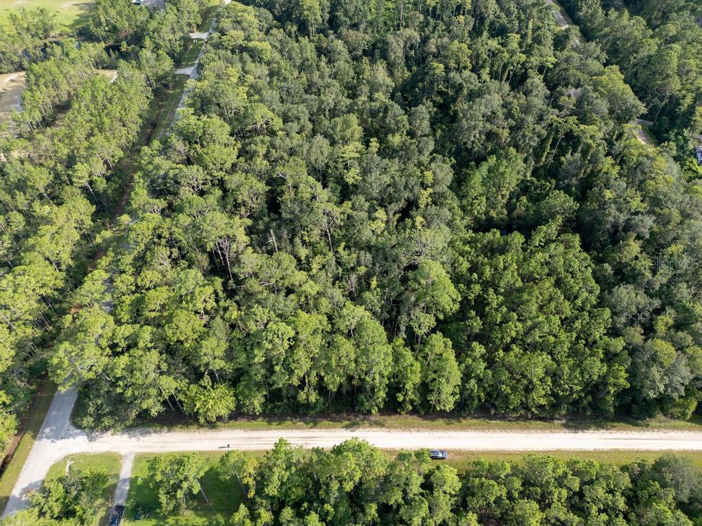 DAYTONA NORTH SUB - Land