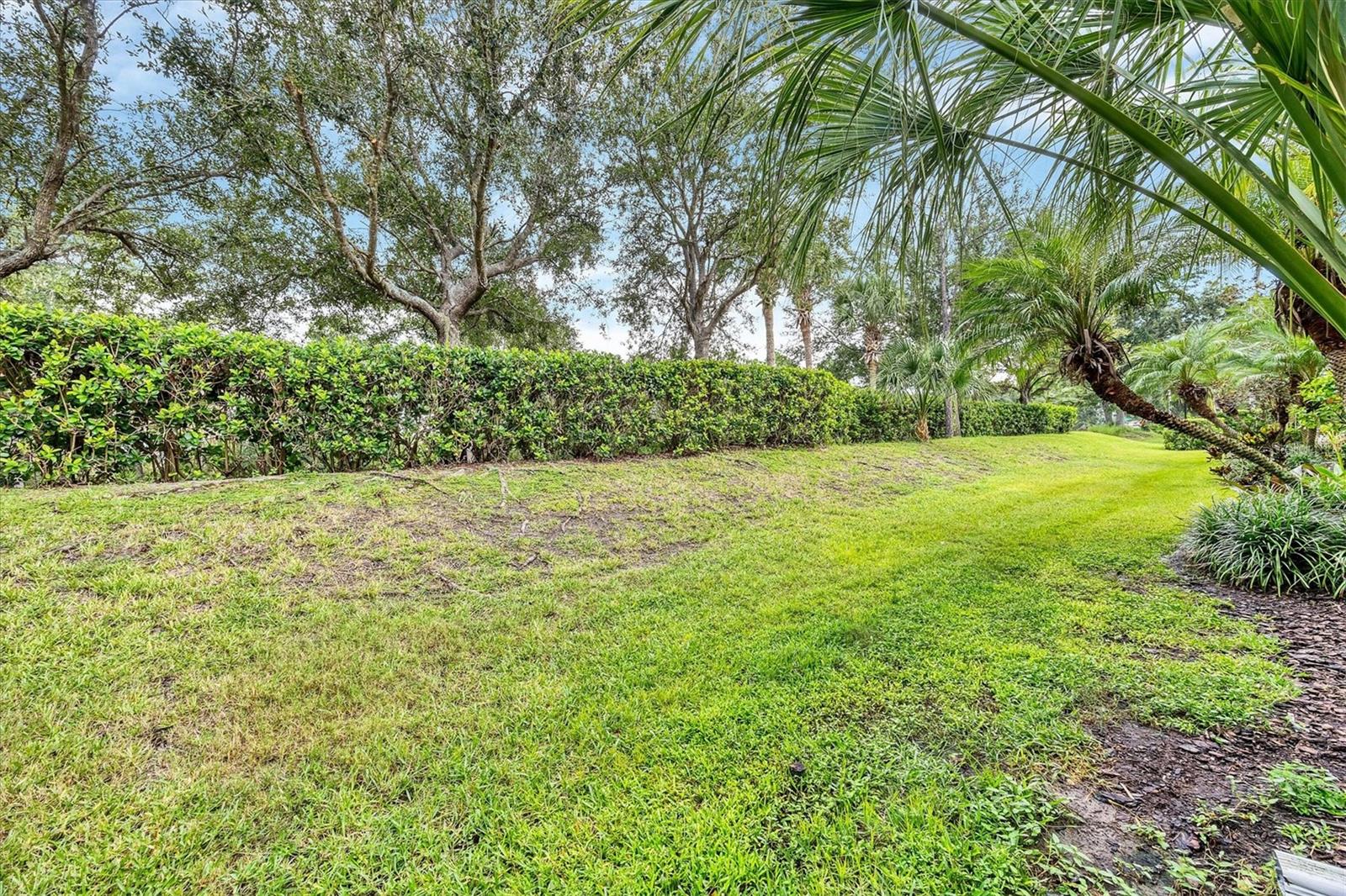 STONEYWOOD COVE - Residential