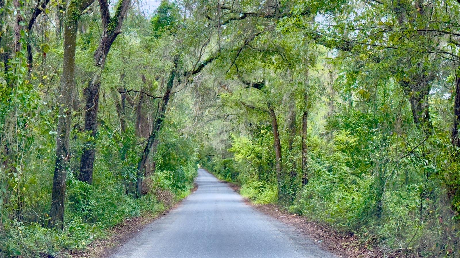 CADILLAC ESTATES - Land