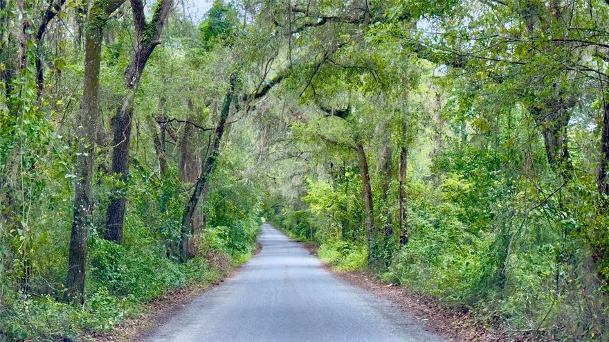 Enjoy peaceful country living on this gently sloping, 5.01-acre property surrounded by mature oaks and pines, set along a quiet road shaded by a canopy of Spanish moss–draped live oaks. The land is mostly cleared, partially wooded, fenced, and ready for your dream home, outbuilding, or any other improvements you desire. This exceptional homesite already includes a well, septic system, and electricity. Four custom, pre-wired brick entryway posts await your future electric gate and lighting. Consider the many possible uses for this versatile property—bring your horses, start a small farm, or simply enjoy the privacy and natural beauty. Conveniently located near Newberry, Alachua, and High Springs, and just a short drive to Gainesville. Open Builder—bring your vision and make it yours.