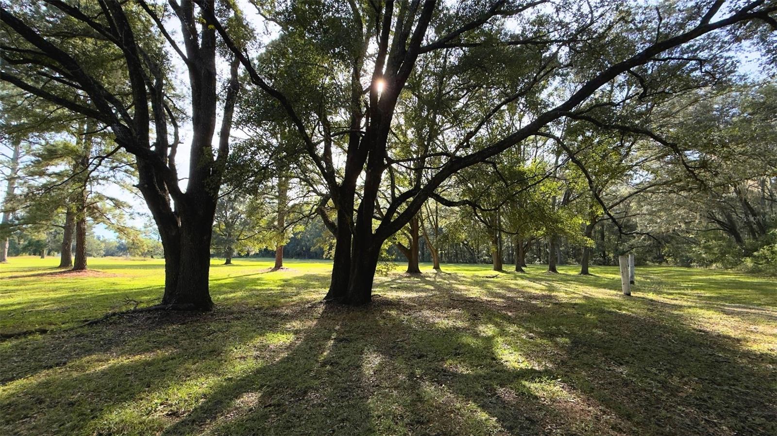 CADILLAC ESTATES - Land