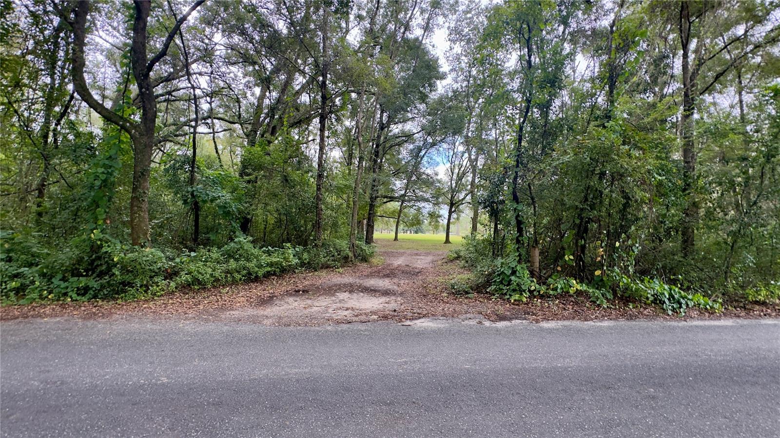 CADILLAC ESTATES - Land