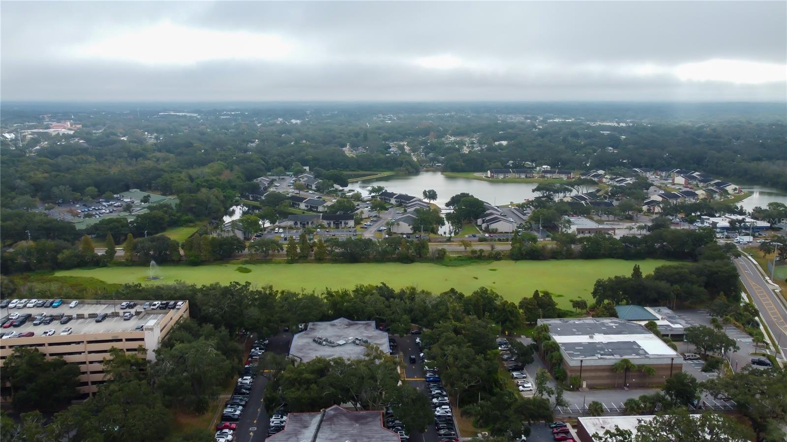 THE BRANDON PROFESSIONAL BUILDING A CONDOMINIUM - Commercial Lease