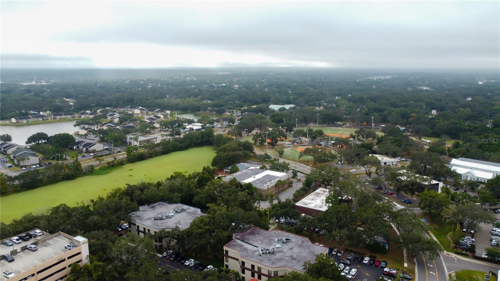 THE BRANDON PROFESSIONAL BUILDING A CONDOMINIUM - Commercial Lease