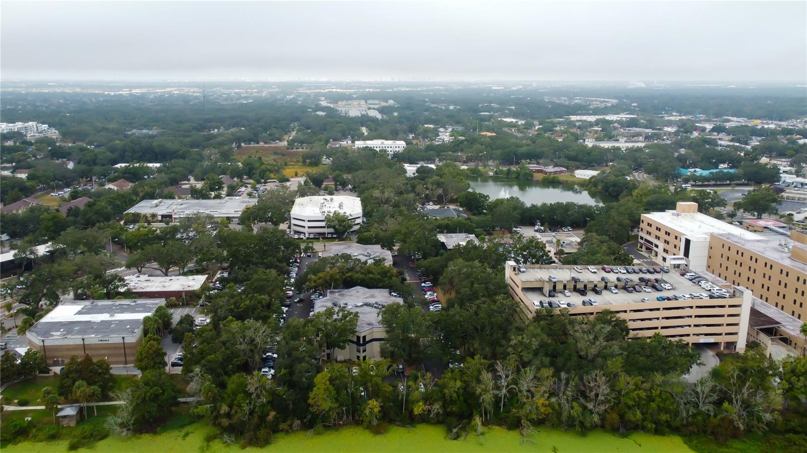 THE BRANDON PROFESSIONAL BUILDING A CONDOMINIUM - Commercial Lease