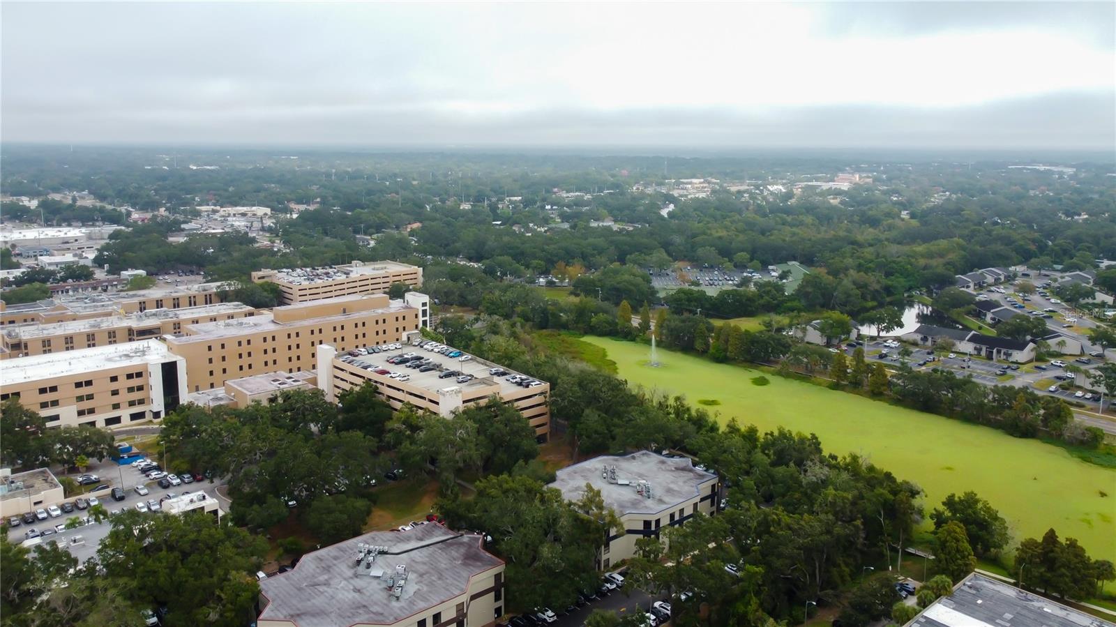 THE BRANDON PROFESSIONAL BUILDING A CONDOMINIUM - Commercial Lease