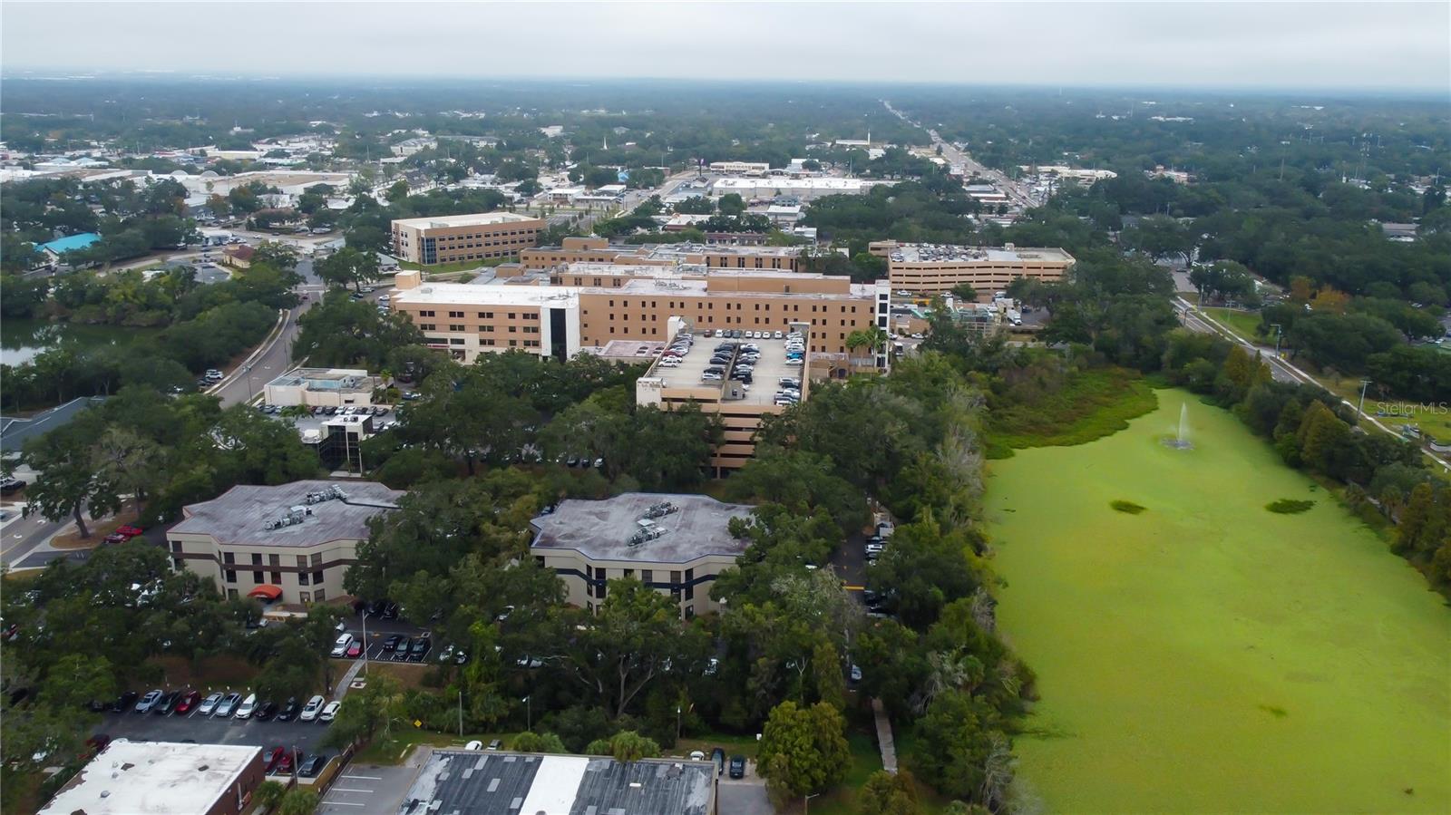 THE BRANDON PROFESSIONAL BUILDING A CONDOMINIUM - Commercial Lease