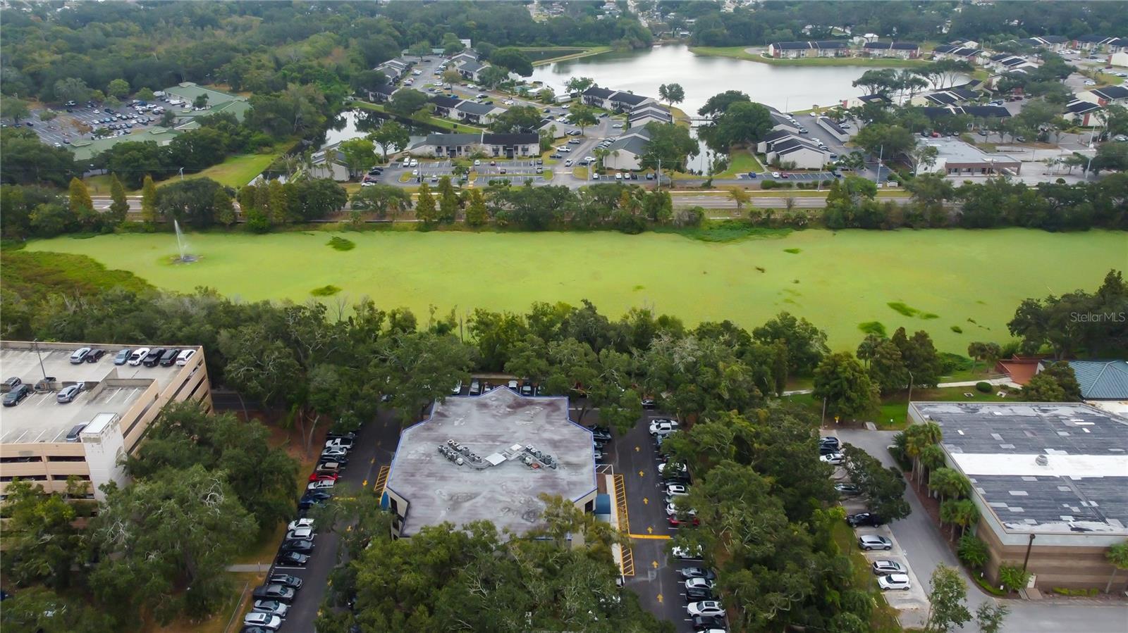 THE BRANDON PROFESSIONAL BUILDING A CONDOMINIUM - Commercial Lease