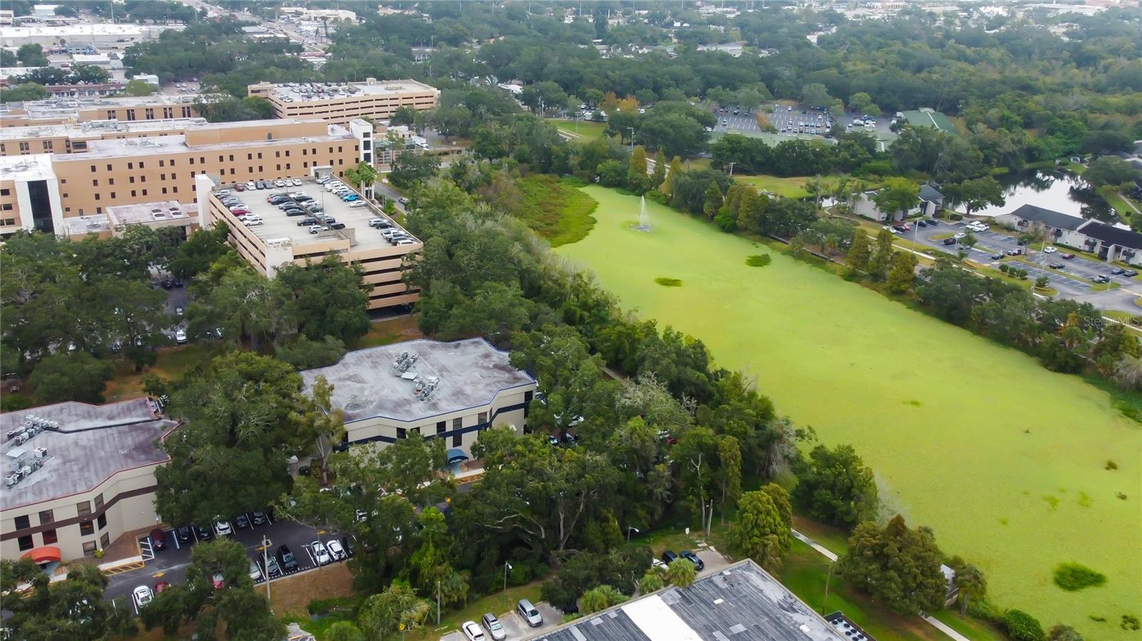 THE BRANDON PROFESSIONAL BUILDING A CONDOMINIUM - Commercial Lease