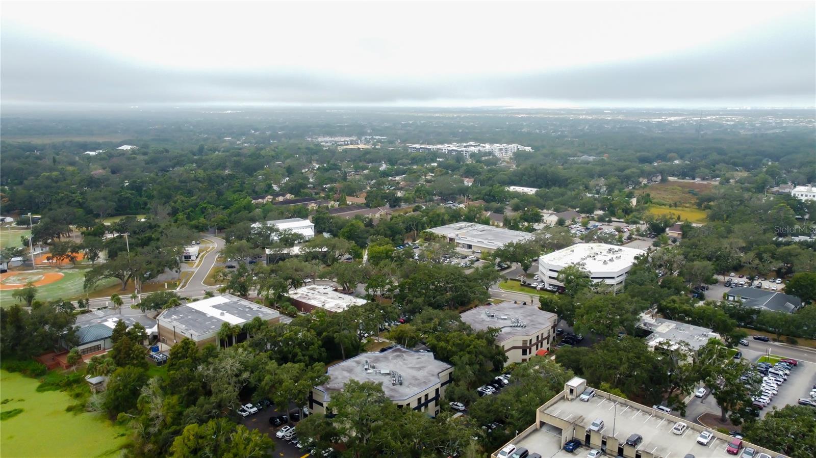 THE BRANDON PROFESSIONAL BUILDING A CONDOMINIUM - Commercial Lease