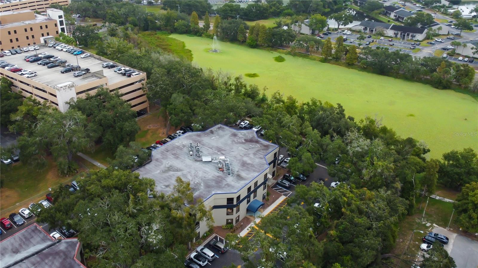 THE BRANDON PROFESSIONAL BUILDING A CONDOMINIUM - Commercial Lease