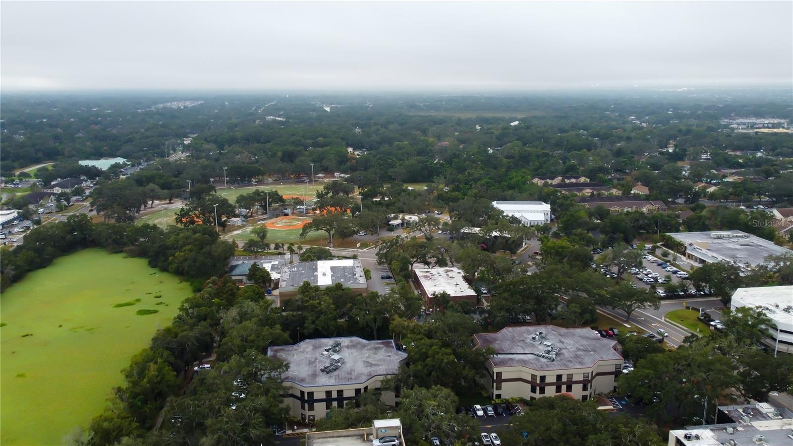 THE BRANDON PROFESSIONAL BUILDING A CONDOMINIUM - Commercial Lease