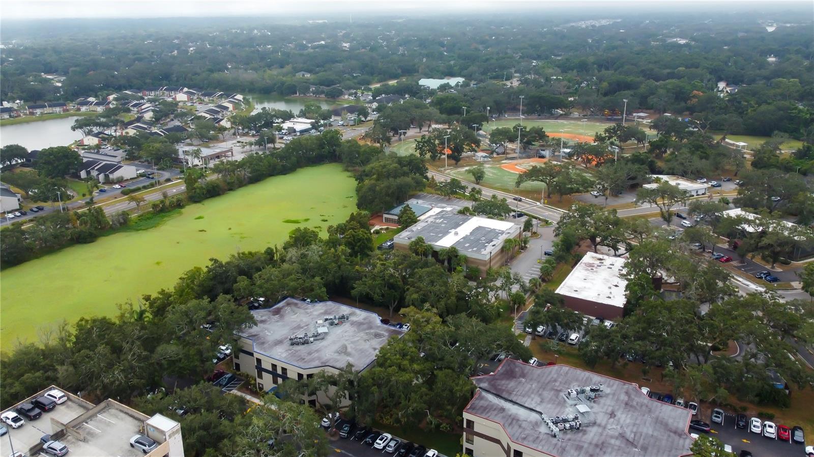 THE BRANDON PROFESSIONAL BUILDING A CONDOMINIUM - Commercial Lease