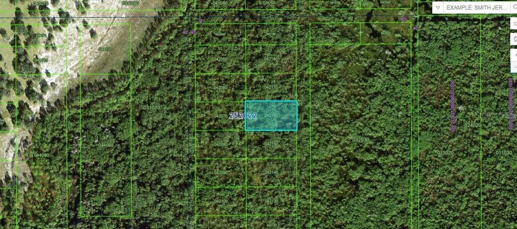 Photo of Commonwealth Ave N, Polk City, FL 33868 (MLS # O6264423)