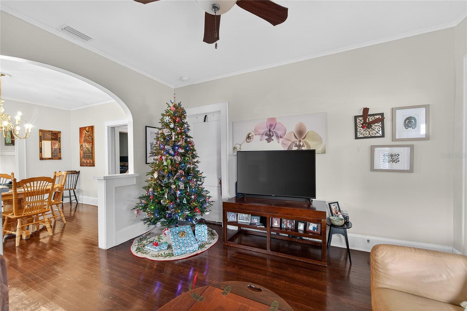 PLANT CITY HEIGHTS - Residential