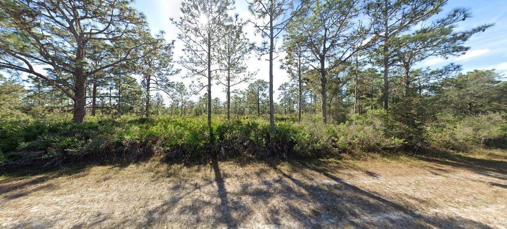 Photo of 919 Laguna Drive, Indian Lake Estates, FL 33855 (MLS # O6246991)