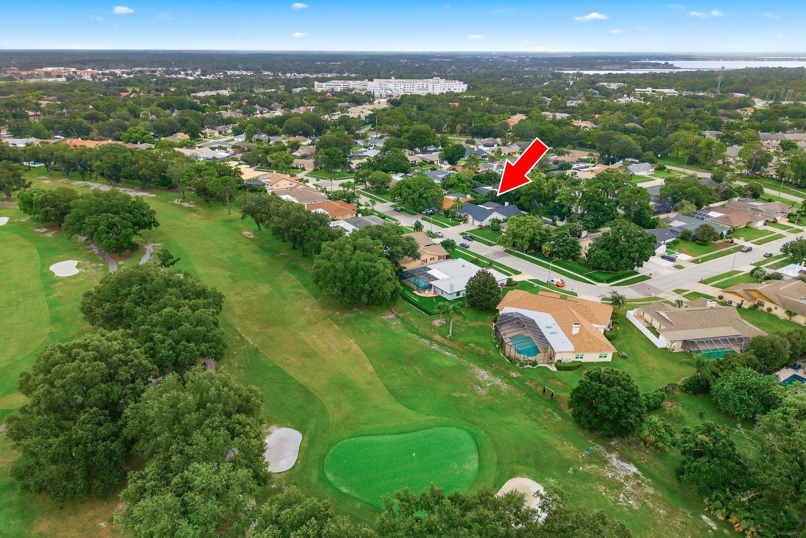 3175 SANDY RIDGE DRIVE