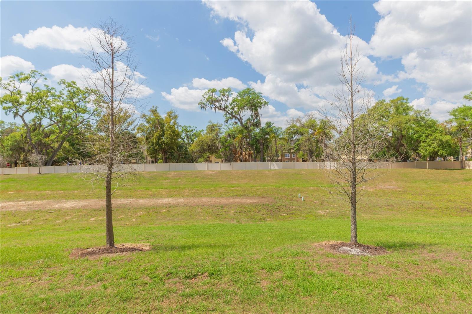 CP & WILLIAMS TWNHMS - Residential