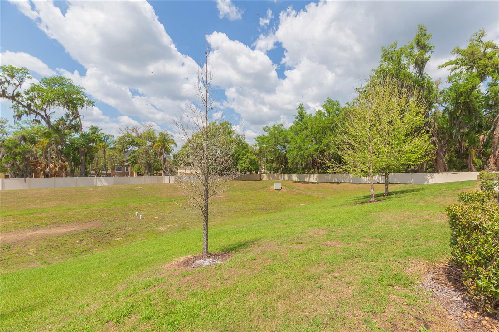 CP & WILLIAMS TWNHMS - Residential