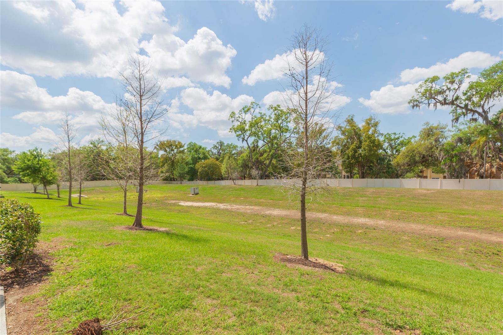 CP & WILLIAMS TWNHMS - Residential