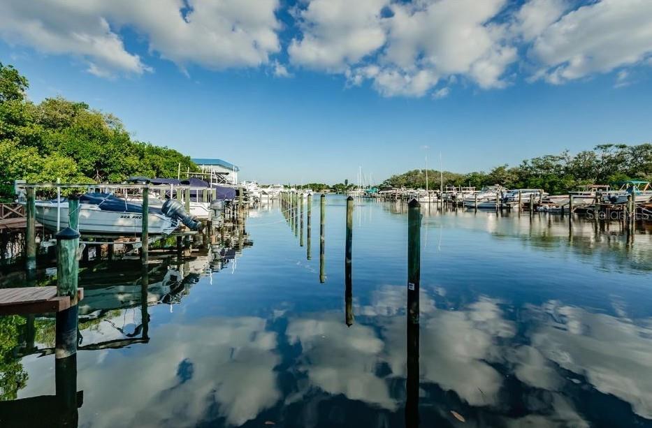 PASADENA COVE CONDO - Residential