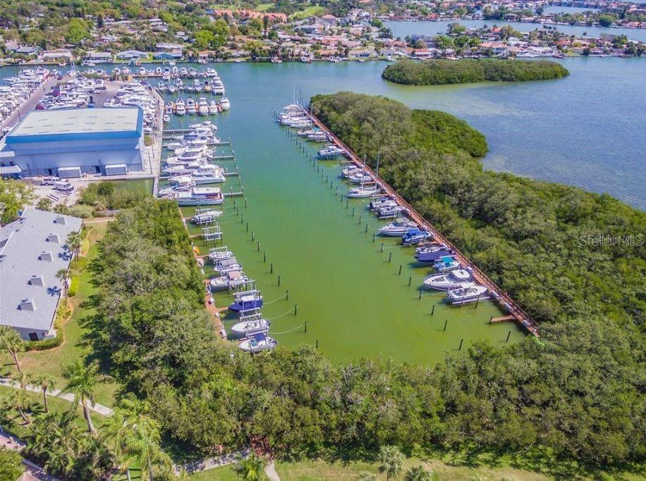 PASADENA COVE CONDO - Residential