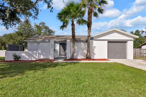 A home in APOLLO BEACH