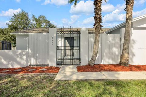 A home in APOLLO BEACH