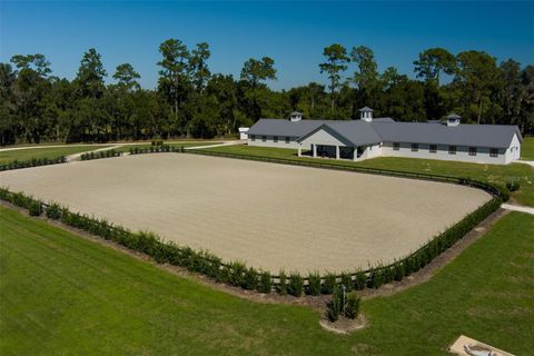 Tiny photo for 15225 NW 112th Place Road, Morriston, FL 32668 (MLS # OM712883)