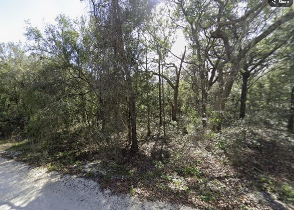 Photo of 34086 Arrowrock Street, Webster, FL 33597 (MLS # TB8553614)