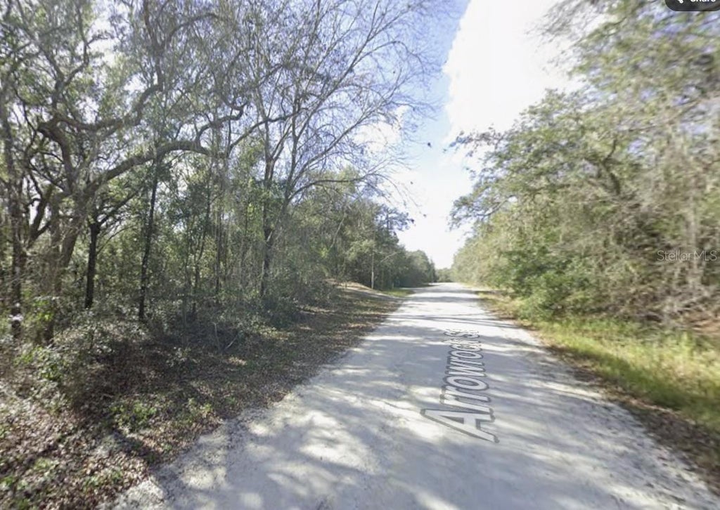 Photo of 34086 Arrowrock Street, Webster, FL 33597 (MLS # TB8553614)