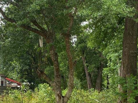 Tiny photo for Tbd Dogwood Drive Pass Drive, Ocala, FL 34472 (MLS # OM729684)