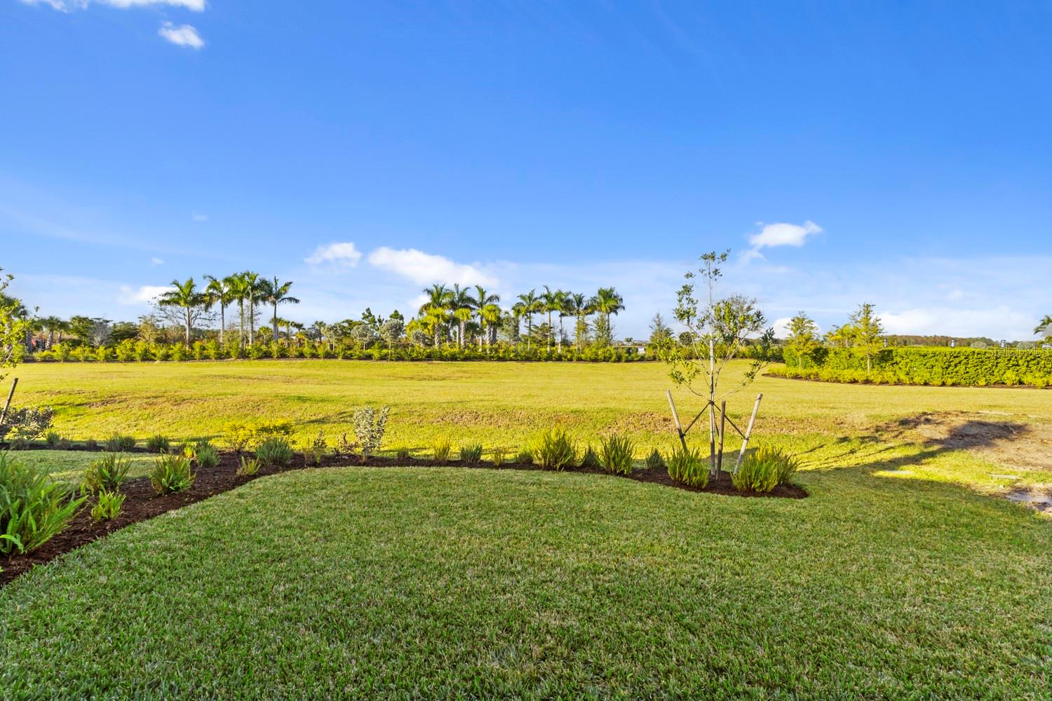 REGENCY/BABCOCK RANCH - Residential