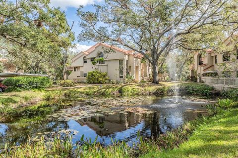 A home in SAFETY HARBOR