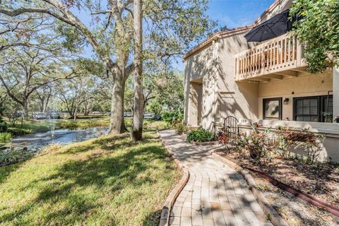 A home in SAFETY HARBOR