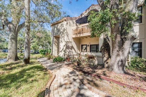 A home in SAFETY HARBOR