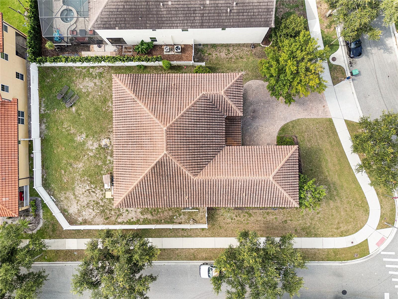 6152 GOLDEN DEWDROP TRAIL