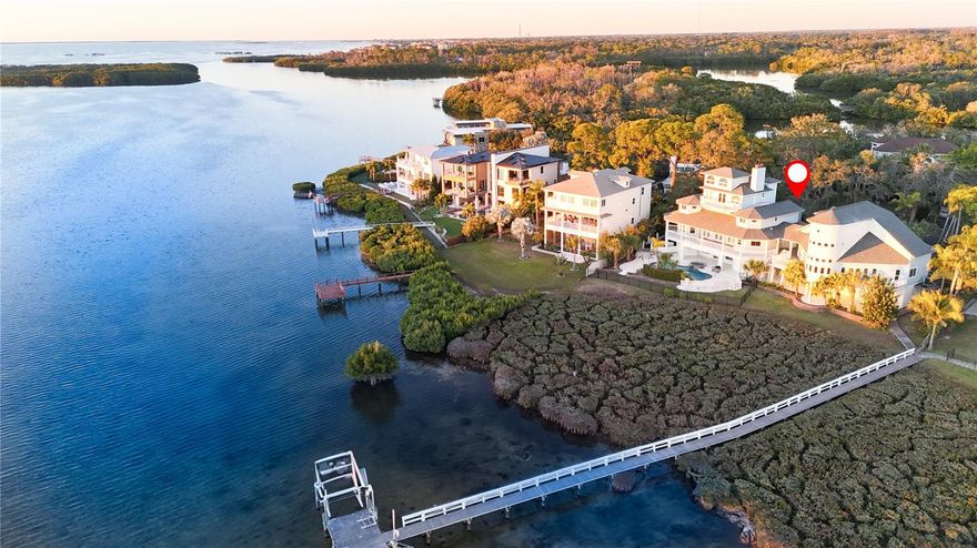 One or more photo(s) has been virtually staged. Welcome to an extraordinary waterfront estate set on over 1.1 acres with a private gated entrance and an impressively long driveway that creates a true sense of arrival. This exceptional property offers unmatched privacy, breathtaking Gulf Views, and luxury living at every turn.
The main residence features a spacious split-floor plan with 6 bedrooms and 5 bathrooms, thoughtfully designed for both comfort and grand entertaining. This luxury home is designed to impress, featuring a four stop elevator offering convenient access to all levels. Travertine flooring flows seamlessly from the living room into the chef’s kitchen, showcasing brand-new custom cabinetry, quartz countertops, a Sub-Zero refrigerator, new appliances, a walk-in pantry, and stunning panoramic water views while you're cooking.
Indoor and outdoor living blend effortlessly with French doors opening to a massive balcony overlooking the Gulf, providing the perfect setting to enjoy spectacular sunsets. Outside, relax beneath swaying palms or enjoy resort style living by the saltwater pool and jacuzzi, both overlooking the water and equipped with all new pool pumps and custom LED lighting. Boaters will appreciate the brand-new 11,000-lb boat lift, while car enthusiasts will love the 6 car garage. Additional features include a private movie theater room, custom closets, brand-new bathrooms, reverse osmosis system(2025), water softener (2024), cement siding(2023), newer roof, all hurricane-impact windows and doors(2024), custom shutters (2025) and much more, complete the homes extensive upgrades. The primary suite occupies the fourth floor, offering French doors that open to a private balcony, surrounded by water views and unforgettable sunsets. The spa-inspired primary bath features a stand-alone soaking tub beside a window overlooking the water, double vanities, a massive walk-in shower, and a walk-in closet. An exclusive observation deck above the primary suite provides a serene space to relax, read, take in panoramic sunset views, or stargaze.
Completing this exceptional property is a detached, fully remodeled 3 bedroom, 3 bath Guest House with panoramic Gulf views, featuring a full kitchen, laundry room with washer and dryer, and four private balconies—ideal for extended family, guests, a Potential Income-Producing Airbnb or long rental. 
Ideally, located next to Wall Springs Park, with steps down the street to the Pinellas Trail, this home sits near some of the areas, most desirable destinations, including Innisbrook Golf Course, the iconic Tarpon Springs, Downtown Palm Harbor, and Dunedin. Enjoy an incredible selection of top, rated restaurants, shopping, and boutique experiences across all three vibrant communities all just 30 minutes from Tampa International Airport. 
With its elevated position as the highest home on the street, this residence withstood both recent hurricanes and is located in a favorable AE flood zone designation, contributing to lower flood insurance rates.
This is a Rare Opportunity to own a Private Gulf-front compound combining luxury, functionality, and endless lifestyle possibilities. Call and book your private showing today!!