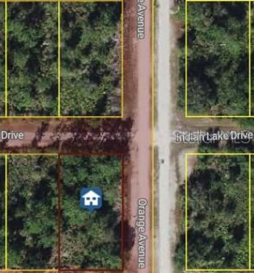 Build your dream home on this spacious .6 acre lot in Indian Lake Estates, a gated community east of Lake Wales. Enjoy access to Lake Walk-In-Water, a 7,500-acre lake nationally recognized for trophy bass fishing, plus Florida’s longest freshwater fishing pier, marina, and beach area. Community amenities include an 18-hole golf course, clubhouse, fitness center, tennis and basketball courts, café, library, and more. Nature lovers will appreciate the abundant wildlife and peaceful setting, while Orlando, Disney, Tampa, Gulf Coast beaches, and Bok Tower Gardens are all within easy reach.