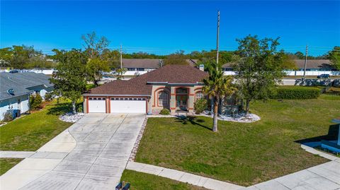 14296 PULLMAN DRIVE SPRING HILL FL 34609