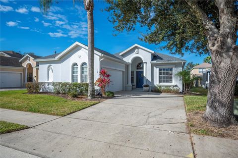 135 MINNIEHAHA CIRCLE HAINES CITY FL 33844