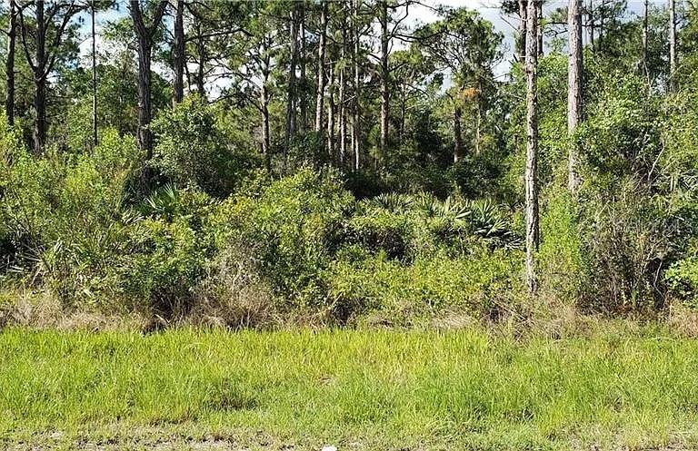 Build or Invest in Port Charlotte – Minutes from the Beach!
Seller Financing Available!
Discover this oversized 10,000 sqft lot (80 ft x 125 ft) located on a paved street in the growing community of Port Charlotte, Florida. Zoned RSF 3.5, this parcel offers great potential for residential development in a region that is actively expanding.
Zoning: RSF 3.5 – Residential Single-Family
Lot Size: 80 ft x 125 ft (10,000 sqft / 0.23 acre)
Located on Sheppard Ave – paved road with power nearby
Lot contains thick vegetation and natural growth – may require clearing and prep work prior to building
Just 30 minutes from Gasparilla Island Lighthouse Beach – one of Florida’s best-kept secrets with crystal-clear water and shell-filled sand
No HOA, no time limit to build
This area is being targeted by the county for future development – owners have already received letters about planning meetings