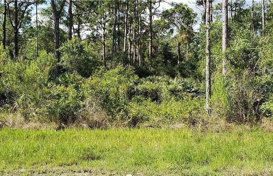 Build or Invest in Port Charlotte – Minutes from the Beach! 
Seller Financing Available!
Discover this oversized 10,000 sqft lot (80 ft x 125 ft) located on a paved street in the growing community of Port Charlotte, Florida. Zoned RSF 3.5, this parcel offers great potential for residential development in a region that is actively expanding.
Zoning: RSF 3.5 – Residential Single-Family
Lot Size: 80 ft x 125 ft (10,000 sqft / 0.23 acre)
Located on Sheppard Ave – paved road with power nearby
Lot contains thick vegetation and natural growth – may require clearing and prep work prior to building
Just 30 minutes from Gasparilla Island Lighthouse Beach – one of Florida’s best-kept secrets with crystal-clear water and shell-filled sand
No HOA, no time limit to build
This area is being targeted by the county for future development – owners have already received letters about planning meetings