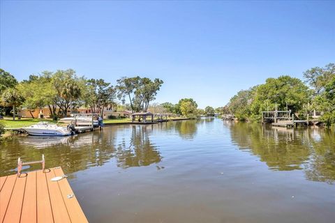 A home in TARPON SPRINGS