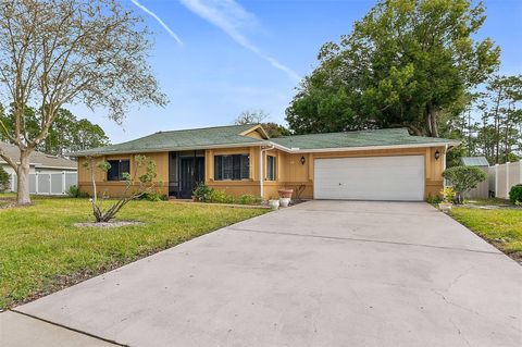 A home in PALM COAST