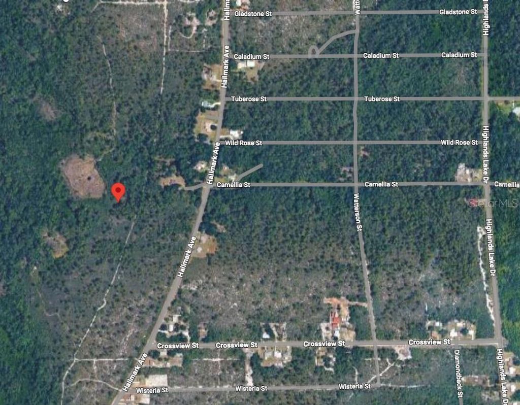 Photo of 734 Dolphin Avenue, Lake Placid, FL 33852 (MLS # O6406570)