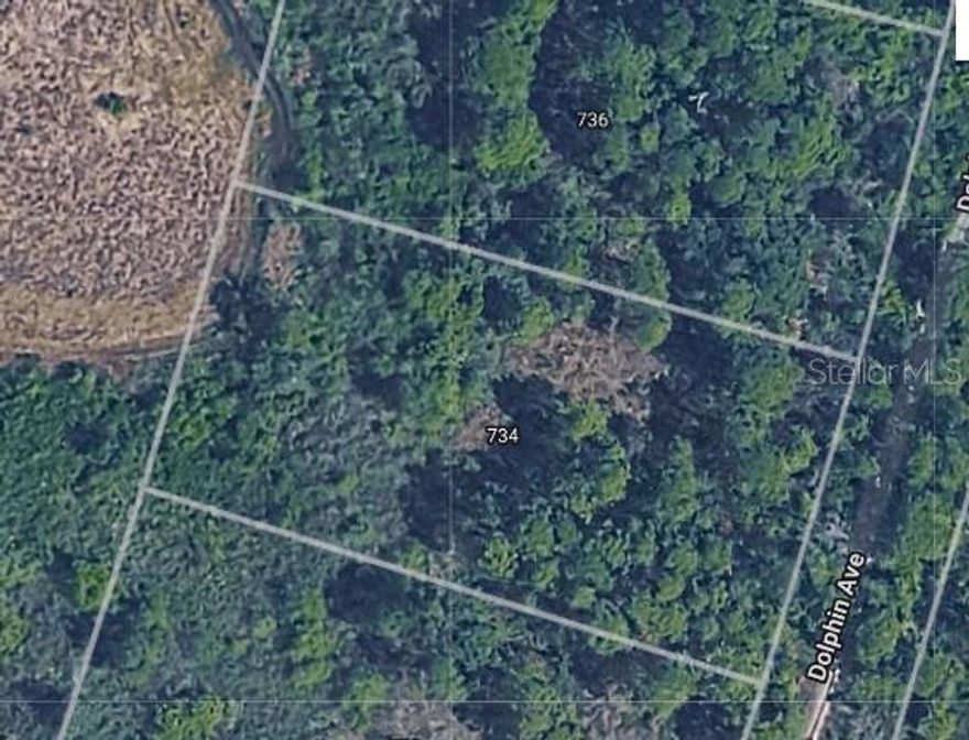 Build your dream home on this sprawling 1.047 acre lot located in the charming, peaceful community of Lake Placid, Florida—famously known as the "Town of Murals". This generous parcel offers ample privacy and space to design a custom homestead, with room for large gardens, workshops, or a private pool, all while being just minutes from downtown. The land is currently wooded, providing a blank canvas for you to clear exactly to your preferences, allowing for mature trees to be kept for shade and natural beauty. Situated in a fast-growing area, this is an excellent opportunity to own a piece of Florida’s heartland in a neighborhood known for a friendly, small-town atmosphere.