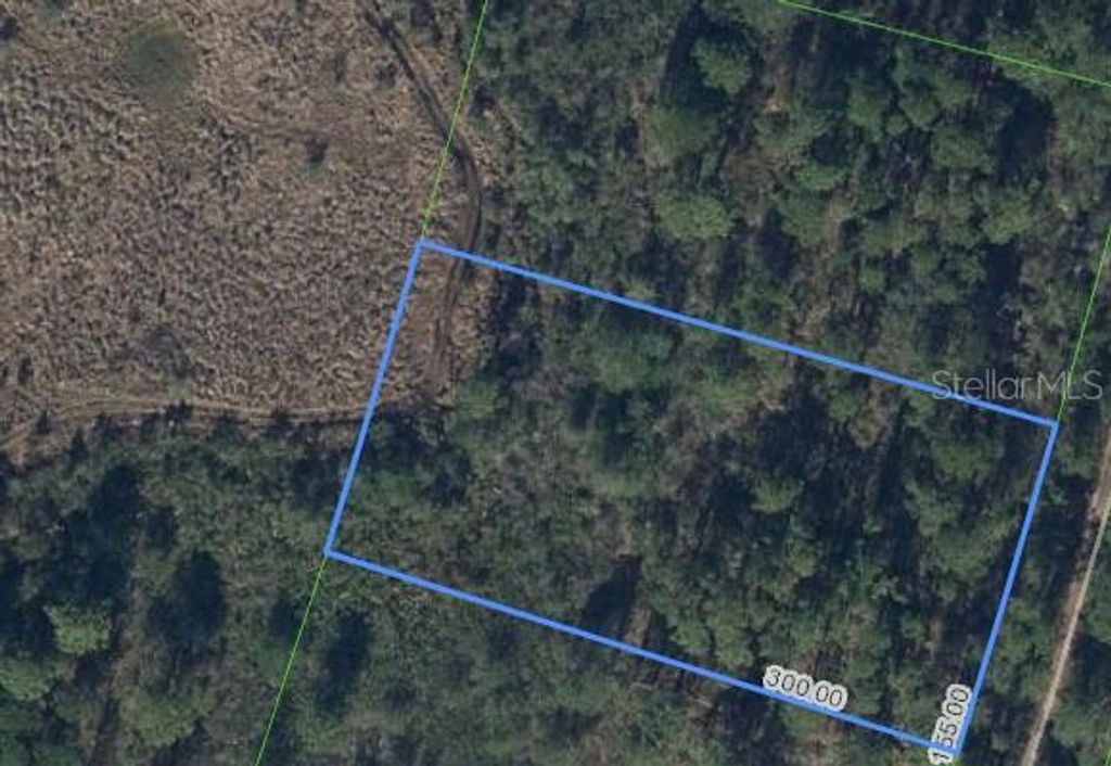 Photo of 734 Dolphin Avenue, Lake Placid, FL 33852 (MLS # O6406570)